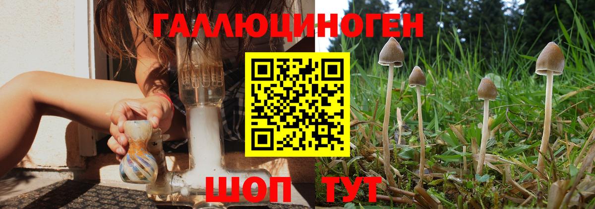 Тверь  Галлюциногенные грибы Magic Shrooms  Вход с VPN  Галлюциногенные грибы Cubensis 